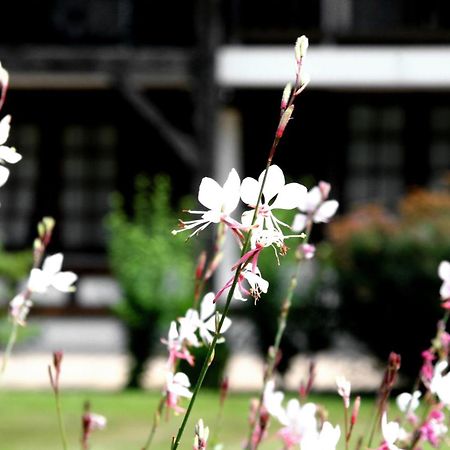 Auberge Des Pins - Teritoria Sabres Kültér fotó